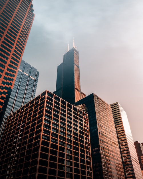 Free Photo brown high skyscrapers