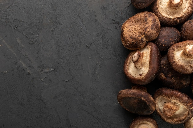 Brown mushrooms fresh ripe isolated on grey background