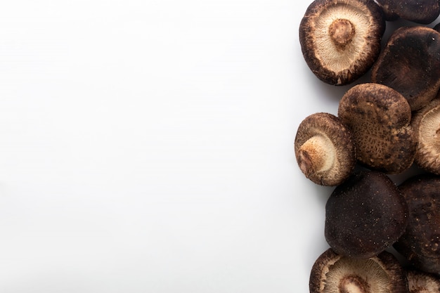 Brown mushrooms on white background