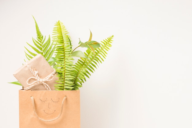 Brown paper bag with fern leaves and gift box against white backdrop