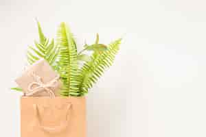 Free photo brown paper bag with fern leaves and gift box against white backdrop