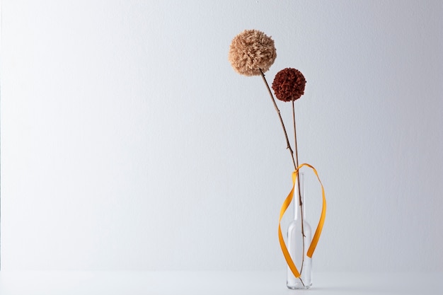 Brown pom poms with copy space