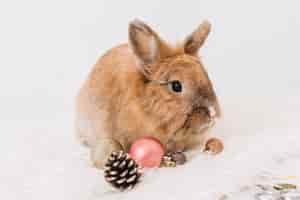 Free photo brown rabbit with shiny baubles