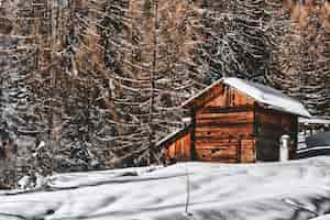 Free photo brown wooden cabin in snowy landscape near forest