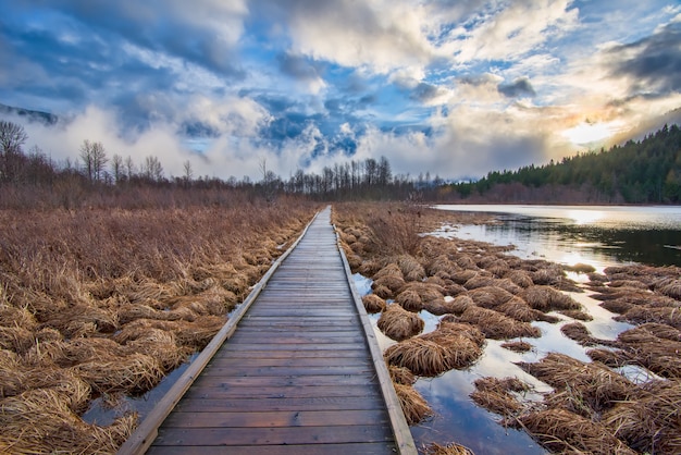 Brown Wooden Dock in Middle of Hay