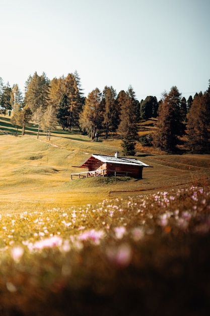 Brown wooden house on green grass field near green trees during daytime