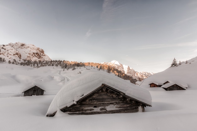 Free Photo brown wooden houses covered in snow at daytime