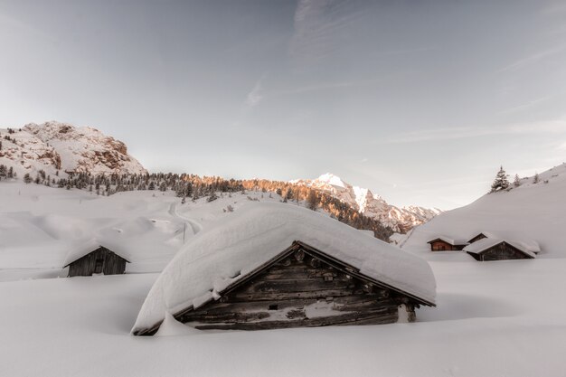 Brown Wooden Houses Covered in Snow at Daytime