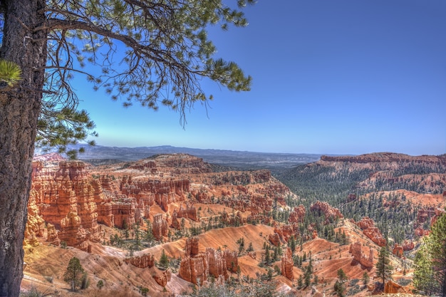 Free photo bryce canyon national park under the sunlight and a blue sky in utah