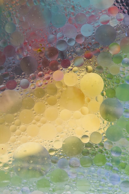 Free Photo bubble textured over the colorful background