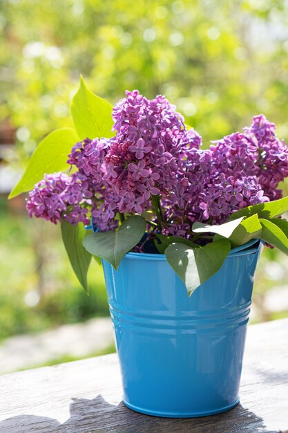 Bucket with a branch of lilac flower