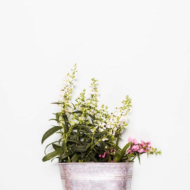 Free Photo bucket with white and pink flowers