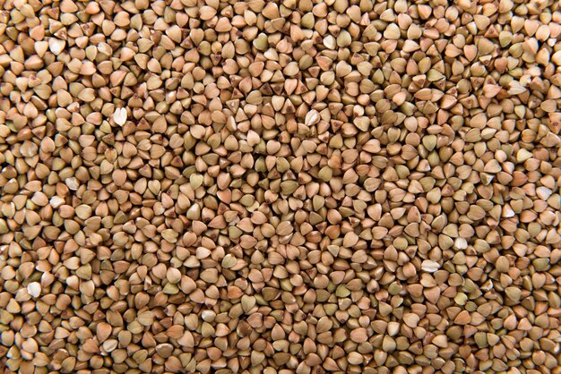 Buckwheat