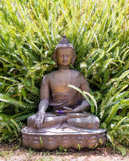 Free photo buddha statue placed on the ground, a wide growing fern growing behind the figure