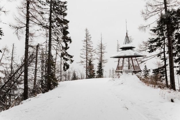 Free photo building in frosty woods