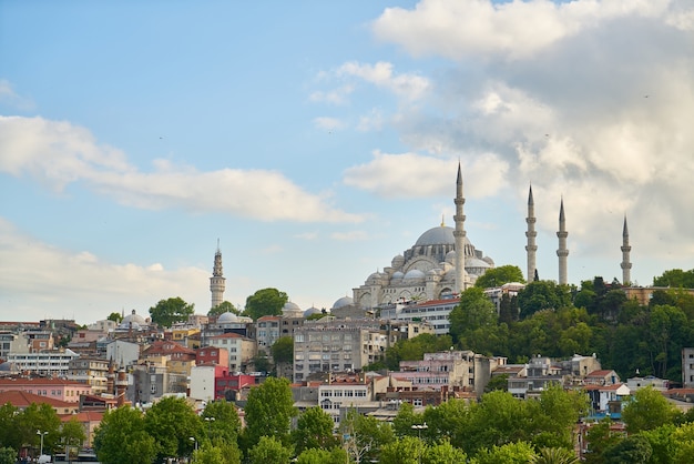 Free photo building with domes and turrets