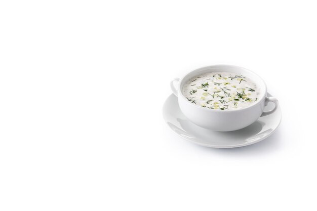 Bulgarian tarator sour milk soup in bowl isolated on white background