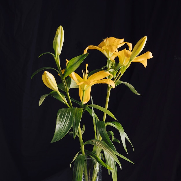 Free Photo bunch of beautiful fresh flowers with green leaves in vase