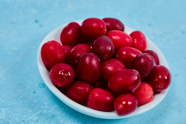 Bunch of cornel berries on white plate. Close up. 