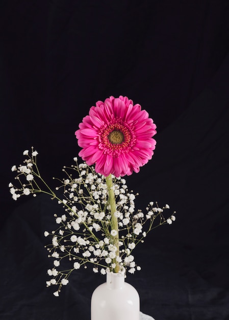 Bunch of fresh flower twig and pink bloom in bottle