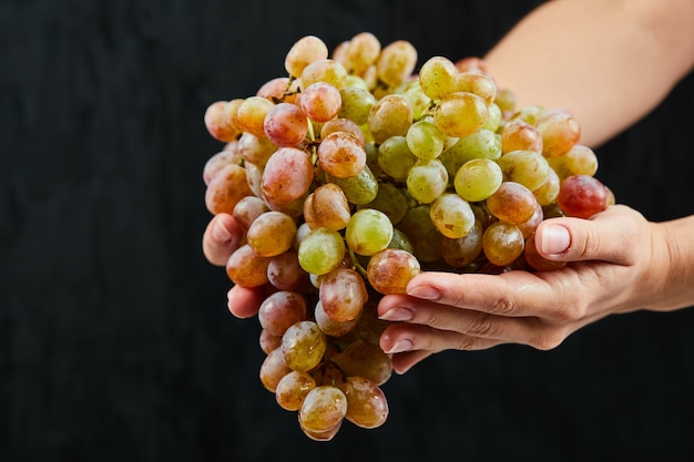 A bunch of fresh grapes in hand on black background. High quality photo