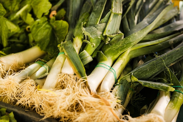 Bunch of fresh leek vegetable in crate at market