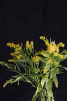 Free photo bunch of fresh yellow flowers with green foliage in vase