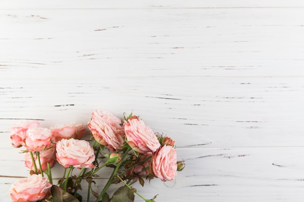 Free Photo bunch of pink roses on white wooden texture background