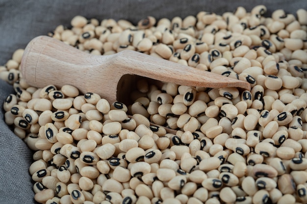 Bunch of raw white beans on gray tablecloth