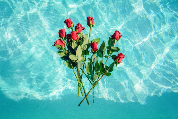 Bunch of red roses hovering on the water