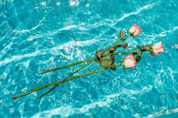 Bunch of roses floating on top of water