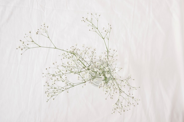 Free Photo bunch of thin green plant branches with flowers in vase