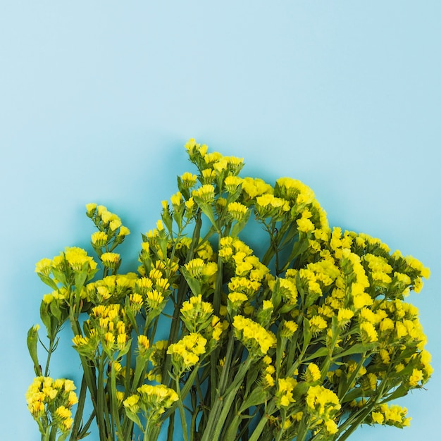 Bunch of tiny yellow flowers on blue background