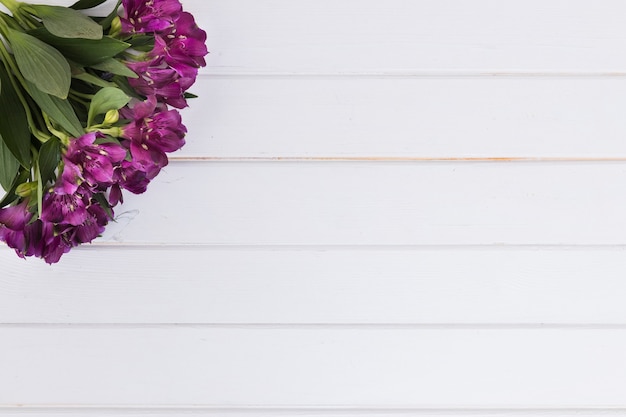 Bunch of violet flowers on white