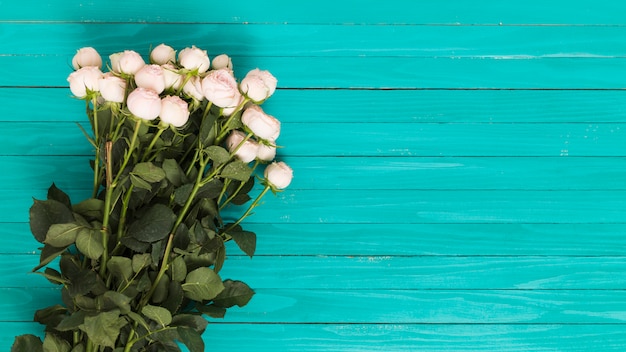 Free photo bunch of white roses on green background