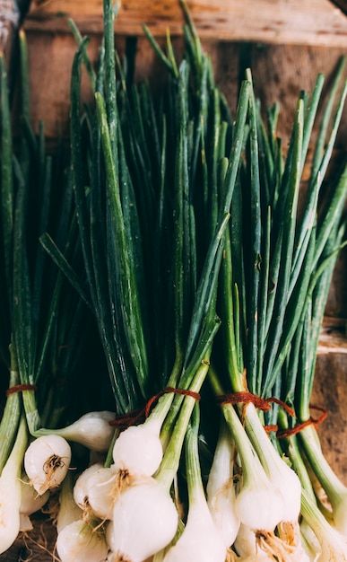 Bunches of fresh onions