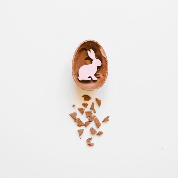 Bunny in chocolate egg