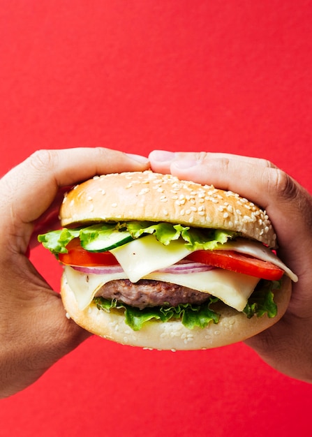 Burger with onion and cheese on red background