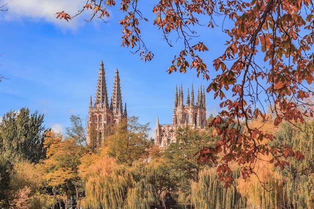 Burgos Cathedral surrounded by trees in the city of Spain