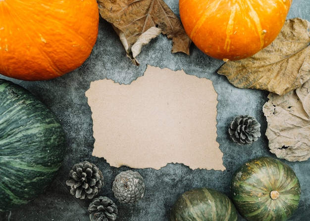 Free Photo burn paper in middle among pumpkins with leaves and cones