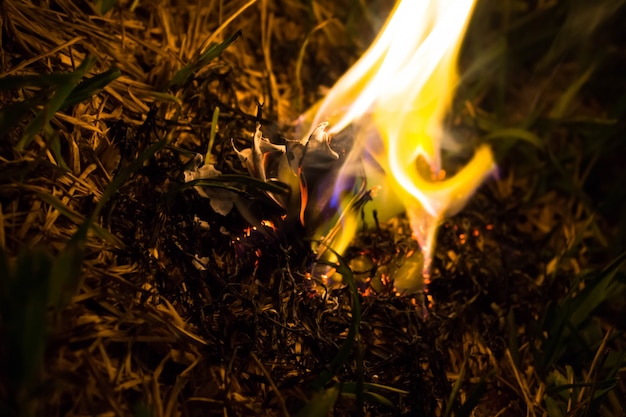 Free Photo burning ashes of a paper airplane