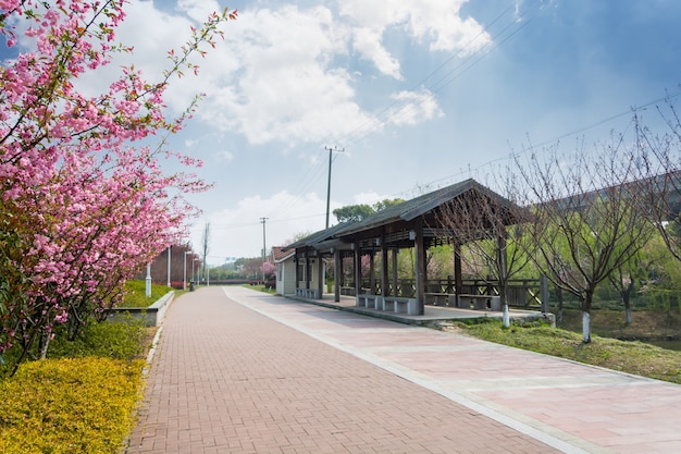 Bus stop