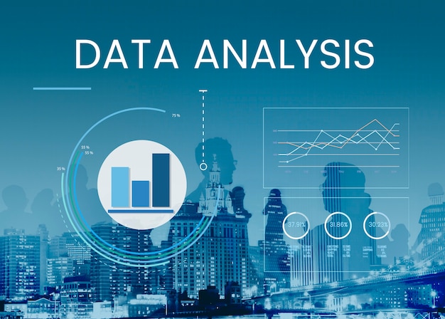 Business data analysis