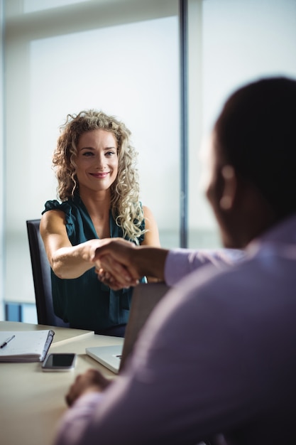 Business executives shaking hands