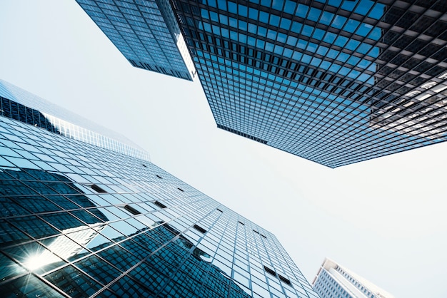 Business towers with glass windows