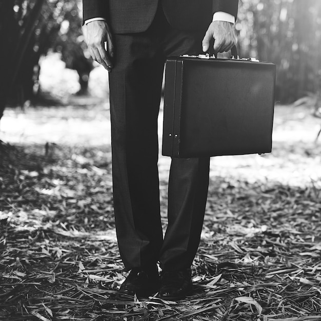 Free Photo businessman businessman suit work business person business