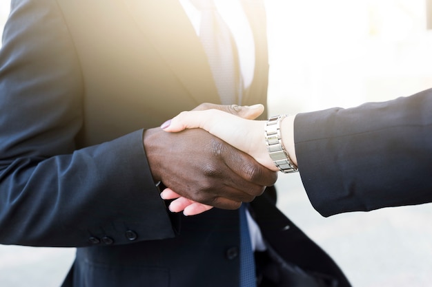 Free photo businessman and businesswoman shaking hands