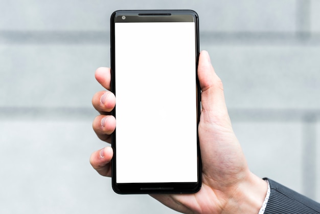 Free Photo a businessperson's hand showing white display screen of a smartphone against blurred backdrop