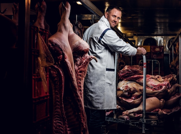 Free Photo butcher in a white work shirt standing in a refrigerated warehouse in the midst of meat carcasses