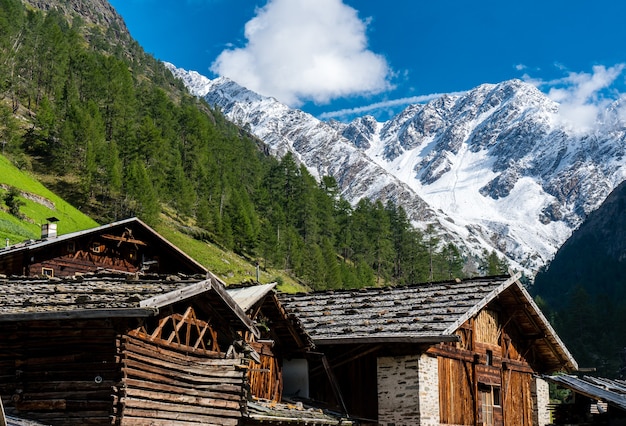 Free Photo cabins in the nature